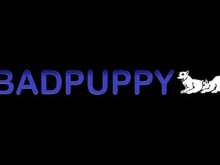 Badpuppy's Marek Pylar