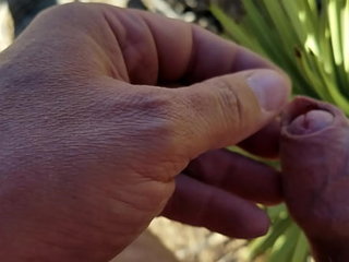 Self foreskin playpiercing with agave thorn in desert